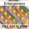 Enlargenexx new10